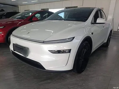 2025 Tesla Model Y Long Range All-Wheel Drive, фото 1, лот 10615479