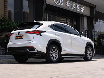 2020 Lexus NX 300h FWD Zhi·Hybrid Special Limited Edition, фото 3, лот 10312086