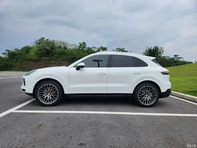 2019 Porsche Cayenne, фото 3, лот 10422841