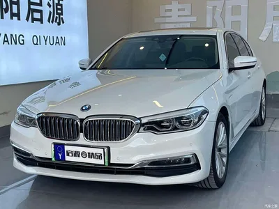 2019 BMW 5 Series New Energy 530Le Luxury Package, фото 1, лот 10474179