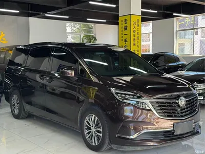 2021 Buick GL8 ES Landlord 653T Premium, фото 3, лот 10442534