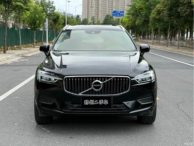 2019 Volvo XC60 T5 4WD Intelligent Distance China VI, фото 2, лот 10361630