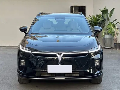 2024 Voyah Auto Voyah Zhiyin Long Range Super Charging Edition, фото 2, лот 11144407