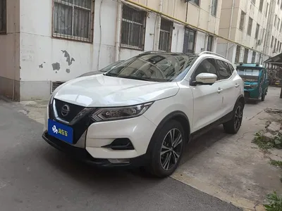 2019 Nissan Qashqai 2.0L CVT Luxury Edition, фото 1, лот 10394801