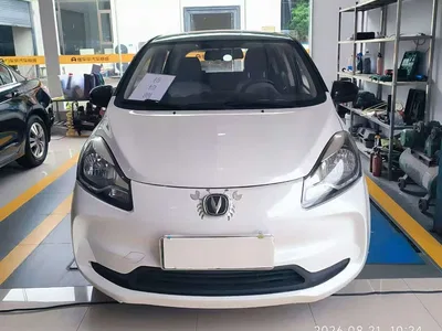 2021 Changan Benben E-Star National Edition Colorful Version LFP (31.18kWh), фото 2, лот 10274601