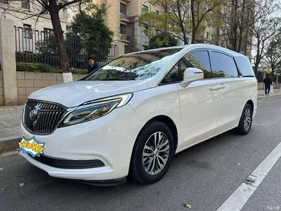2017 Buick GL8 ES 28T Luxury China V, фото 1, лот 10255442