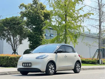 2023 Wuling Motors Wuling Bingo Model 333km Telepathic Connect+ Version, фото 1, лот 10367316