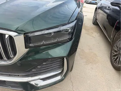2025 Geely Xingyue L Oriental Glory 2.0TD Automatic Star Collector Edition, фото 4, лот 10662944