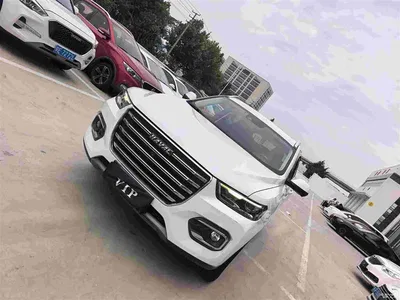 2020 Haval H6 2.0GDIT Automatic Platinum Champion Edition, фото 3, лот 10299365