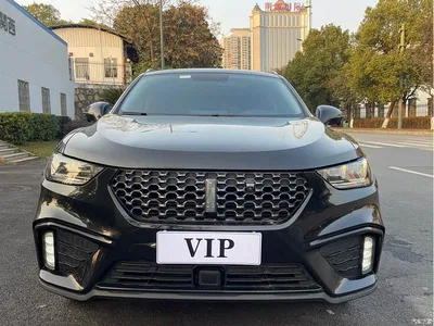 2017 WEY VV5 2.0T Super Luxury Model, фото 2, лот 10605688