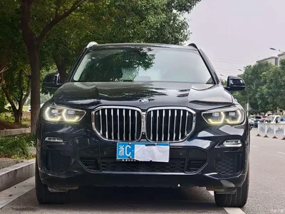 2019 BMW X5 (Import) xDrive40i M Sport Package, фото 2, лот 11217604