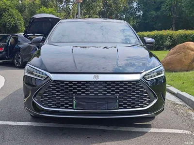 2023 BYD Qin PLUS Champion Edition DM-i 55KM Leading, фото 2, лот 11132954
