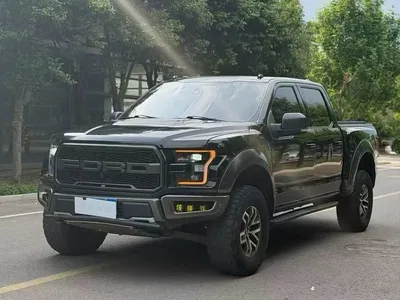 2018 Ford F-150 Raptor 3.5T Raptor Performance Enhanced Edition, фото 1, лот 10839088