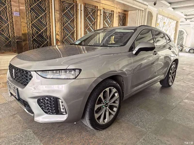 2017 WEY VV7 2.0T Luxury, фото 3, лот 10306442