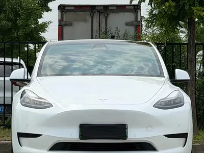 2022 Tesla Model Y Rear-Wheel Drive Version, фото 2, лот 10401468