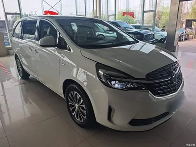 2022 Buick GL8 Land Business Class 652T Comfort, фото 4, лот 10259735