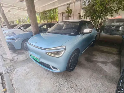 2024 Dongfeng Yipai Nano 01 430 Plus Smart+, фото 1, лот 11579375
