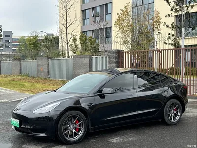 2022 Tesla Model 3 Model Rear-Wheel Drive Version, фото 1, лот 10816035
