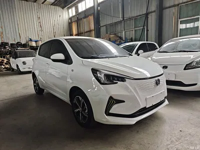 2020 Changan Benben E-Star Model Happy Edition (LFP 31.18kWh), фото 4, лот 11179849