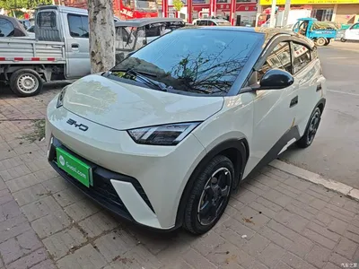 2023 BYD Seagull Flying Edition, фото 1, лот 10258674