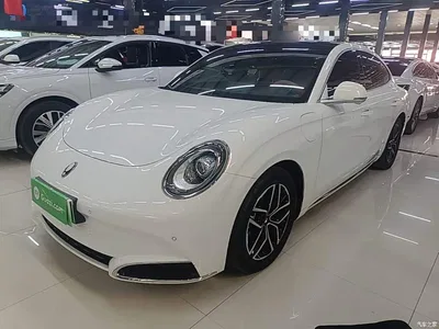 2022 Ora Lightning Cat 555km Luxury Edition, фото 2, лот 10766669