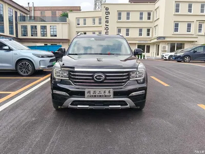 2017 GAC Trumpchi Trumpchi GS8 320T 2WD Luxury Smart Connect (7-seater), фото 2, лот 10416951