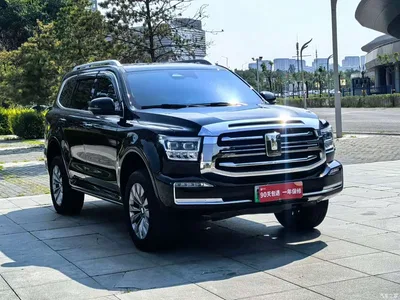 2024 Tank 500 EV Hi4-T Black Warrior Edition, фото 3, лот 10345128