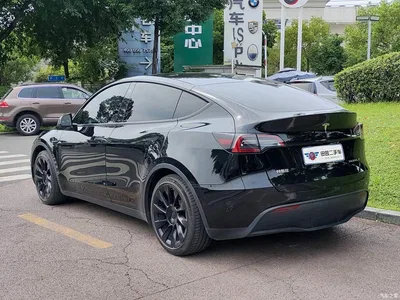 2021 Tesla Model Y Standard Range Rear-Wheel Drive, фото 4, лот 11090098