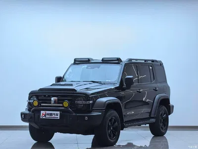 2023 Tank 300 Off-Road Edition 2.0T Conqueror, фото 1, лот 10344962