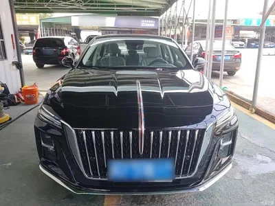 2024 Hongqi H5 1.5T DCT Smart Connect Flag Joy Edition, фото 3, лот 11181616
