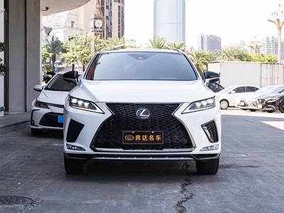 2020 Lexus RX 300 AWD F SPORT (China VI), фото 2, лот 11582109