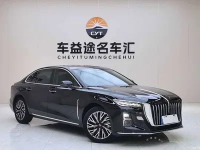 2024 Hongqi H5 2.0T Automatic Smart Connect Flag Smooth Edition, фото 3, лот 10286380
