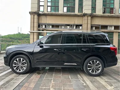 2017 GAC Trumpchi Trumpchi GS8 320T 2WD Luxury Smart Connect (7-seater), фото 3, лот 10419775