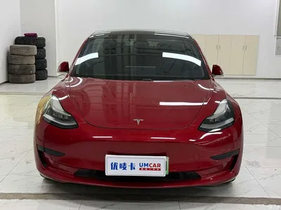 2020 Tesla Model 3 Standard Range Rear-Wheel Drive Upgrade, фото 2, лот 11214383
