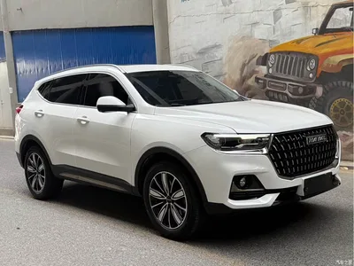 2023 Haval H6 National Trend Edition 1.5T Automatic Champion, фото 3, лот 10281379