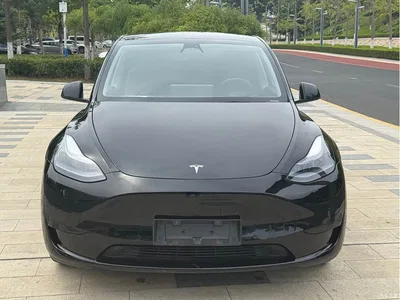 2023 Tesla Model Y Rear-Wheel Drive Edition, фото 2, лот 11178947