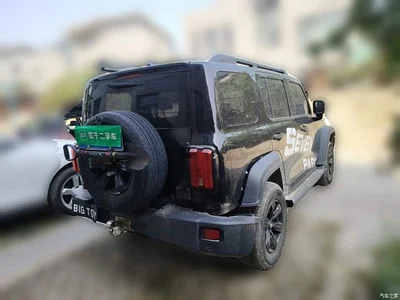 2021 Tank 300 Off-road Version 2.0T Conqueror, фото 4, лот 11090015