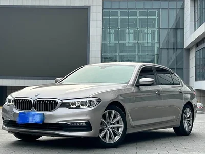 2018 BMW 5 Series 528Li Launch Special Edition, фото 1, лот 11003356