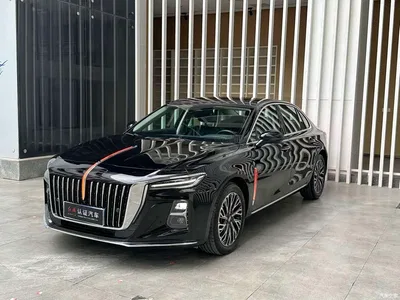 2024 Hongqi H5 2.0T Automatic Smart Connect Flag Smooth Edition, фото 1, лот 11017800