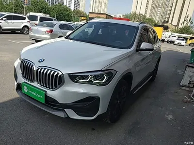 2020 BMW X1 sDrive20Li Fashion Model, фото 1, лот 10467782