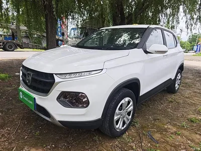 2019 Baojun 510 1.5L CVT Dynamic Edition China VI, фото 2, лот 10409613