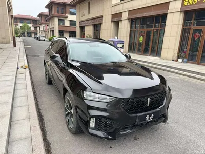2017 WEY VV7 2.0T Super Luxury, фото 3, лот 10452225
