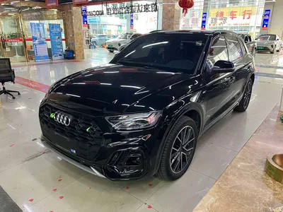 2025 Audi Q5L 40 TFSI Luxury Dynamic, фото 1, лот 10456526