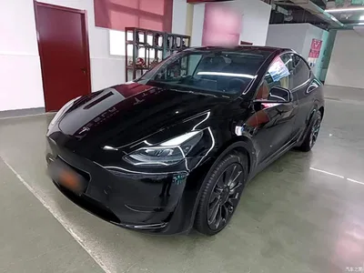 2023 Tesla Model Y Rear-Wheel Drive Edition, фото 2, лот 10370185