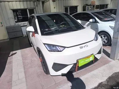 2025 BYD Seagull Smart Drive Edition 305km Vitality Version, фото 4, лот 11396375