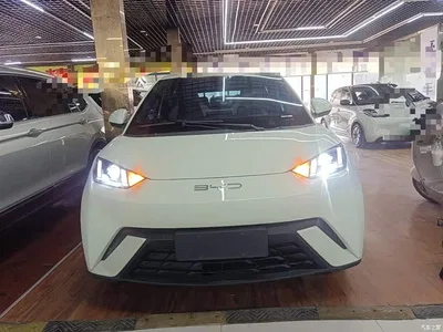 2023 BYD Seagull Vitality Edition, фото 3, лот 10262922
