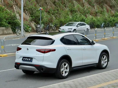 2017 Alfa Romeo Stelvio 2.0T 200HP Elite, фото 4, лот 11219074
