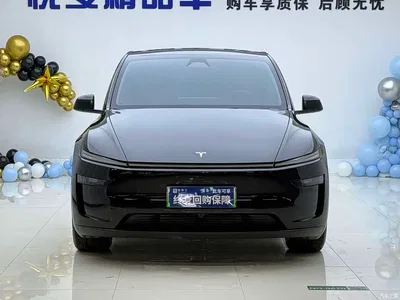 2025 Tesla Model Y Long Range All-Wheel Drive, фото 2, лот 11012427