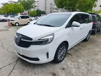2022 Buick GL8 Land Business Class 652T Prestige, фото 1, лот 10257895