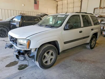 2005 CHEVROLET TRAILBLAZER LS, фото 1, лот 10708864